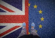 49% người Anh ủng hộ quay lại EU