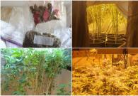 Lượng lớn cần sa thành phẩm bị tịch thu ở Sidcup, Bexley