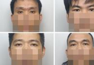 4 người Việt bị bỏ tù vì trồng cần sa ở Halifax