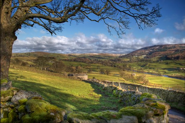 18yorkshire3