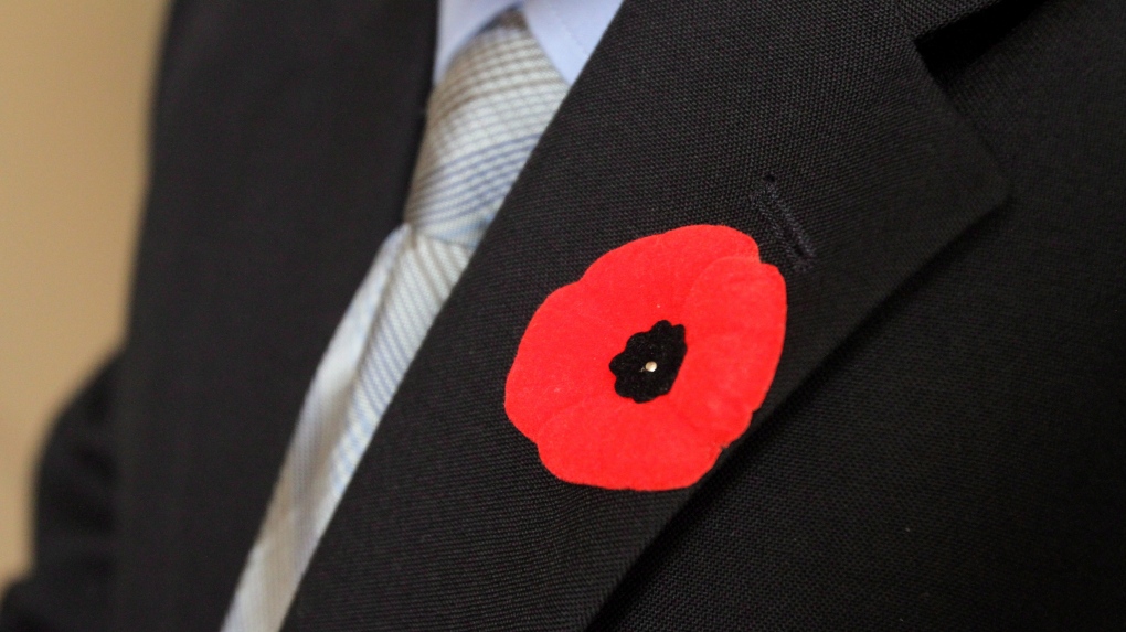 cai hoa tren nguc ao poppy day hoa anh tuc