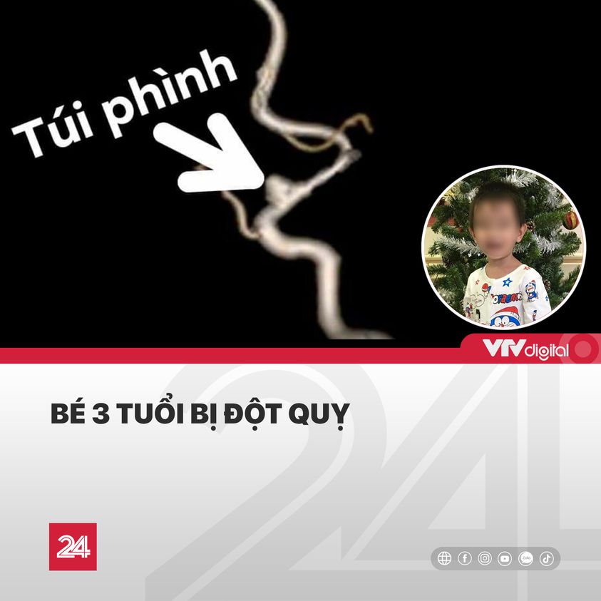 134958878 1787257738128673 5107571202252032977 o