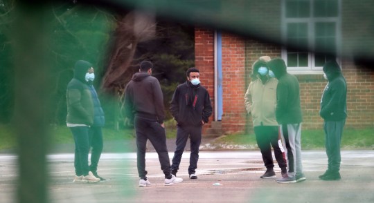 27asylum2