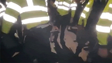 Shove gif 9a59