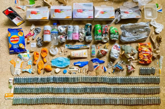 20litter1