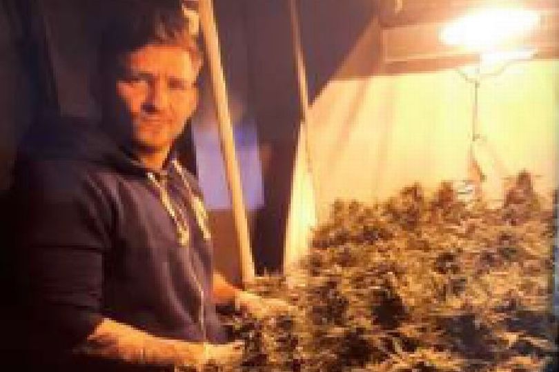 23cannabis