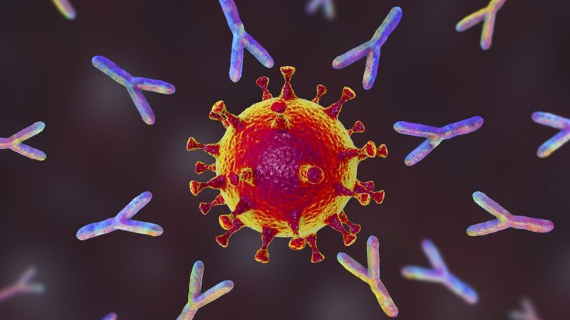 khang the bao quanh virus