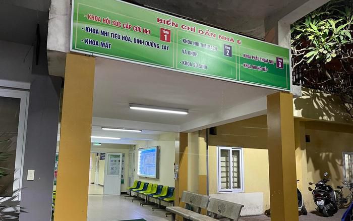 be gai bi gam 9 cay dinh o ha noi 3