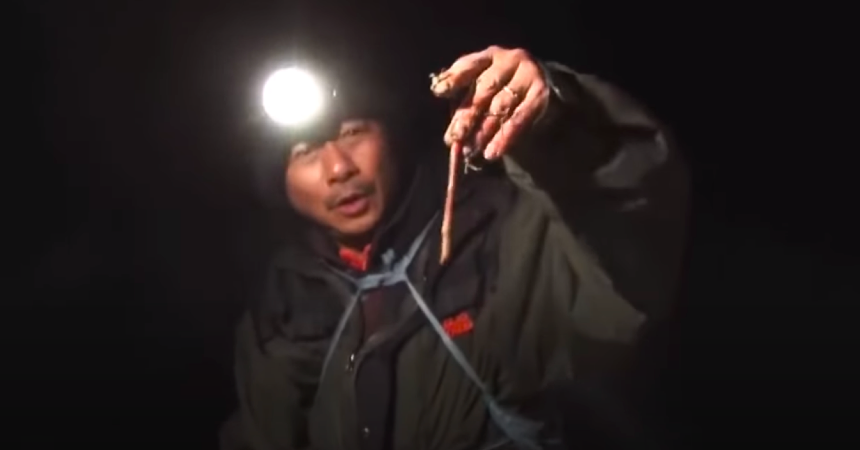 nghe san trun o canada