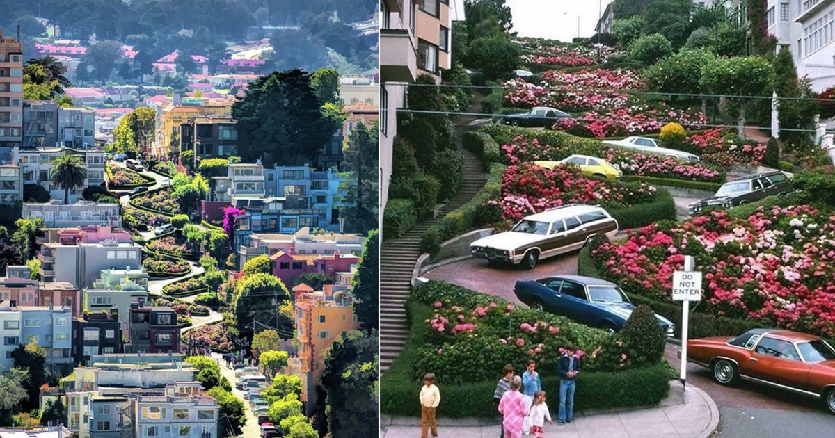 con duong zig zag lombard san francisco 1