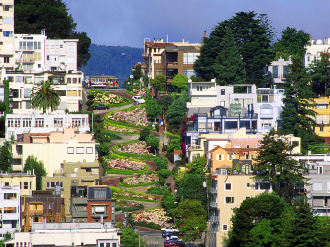 con duong zig zag lombard san francisco 1