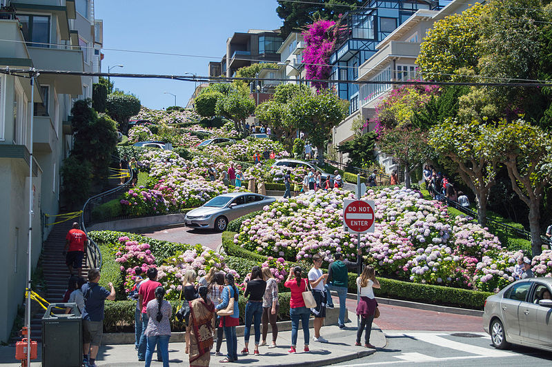 con duong zig zag lombard san francisco 1