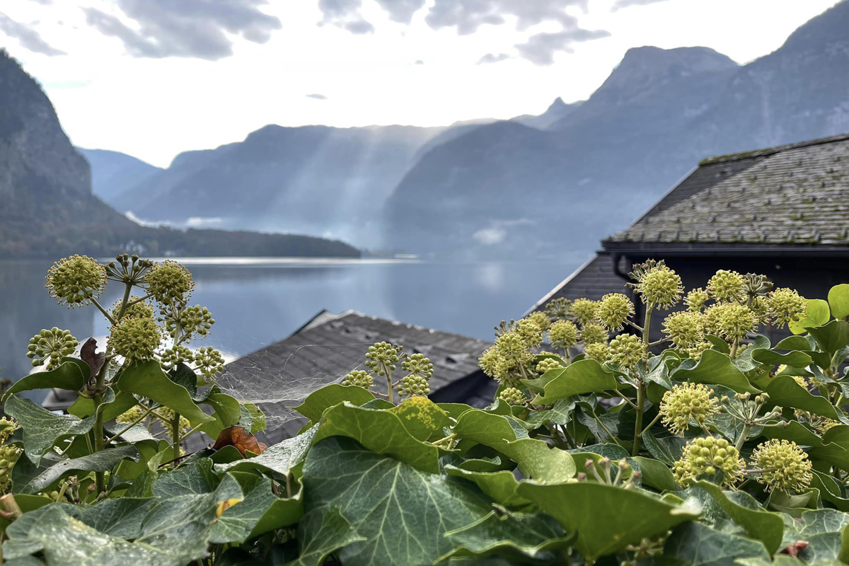 du lich Hallstatt 1