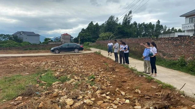 mua dat da lat
