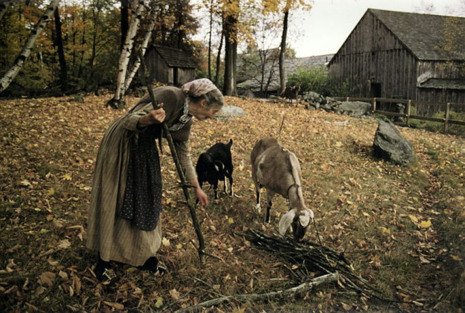 nha vuon Tasha Tudor 0