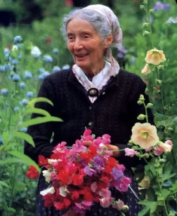 nha vuon Tasha Tudor 0