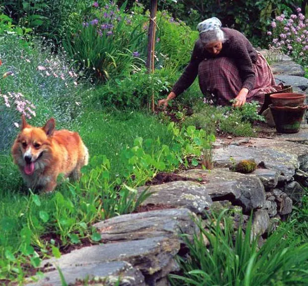 nha vuon Tasha Tudor 0