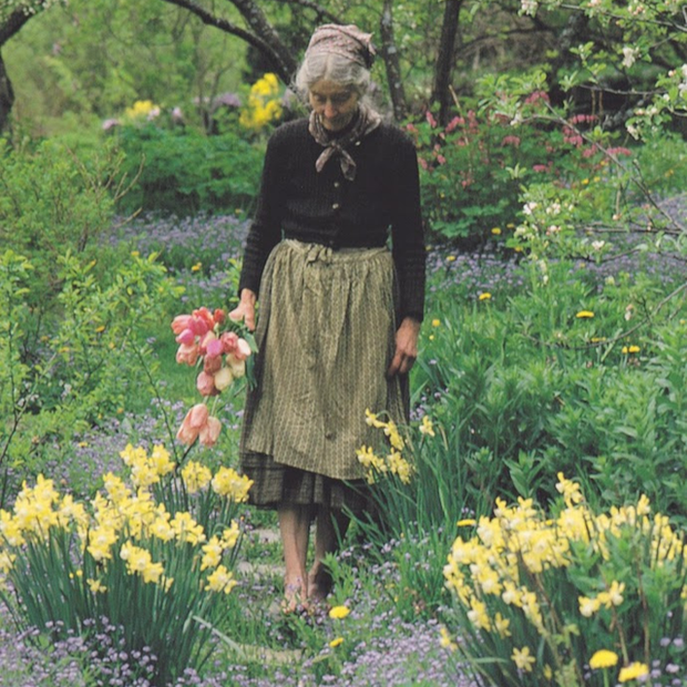 nha vuon Tasha Tudor 0