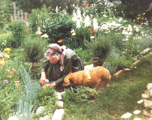 nha vuon Tasha Tudor 0