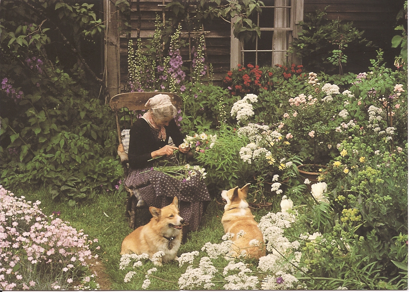 nha vuon Tasha Tudor 0