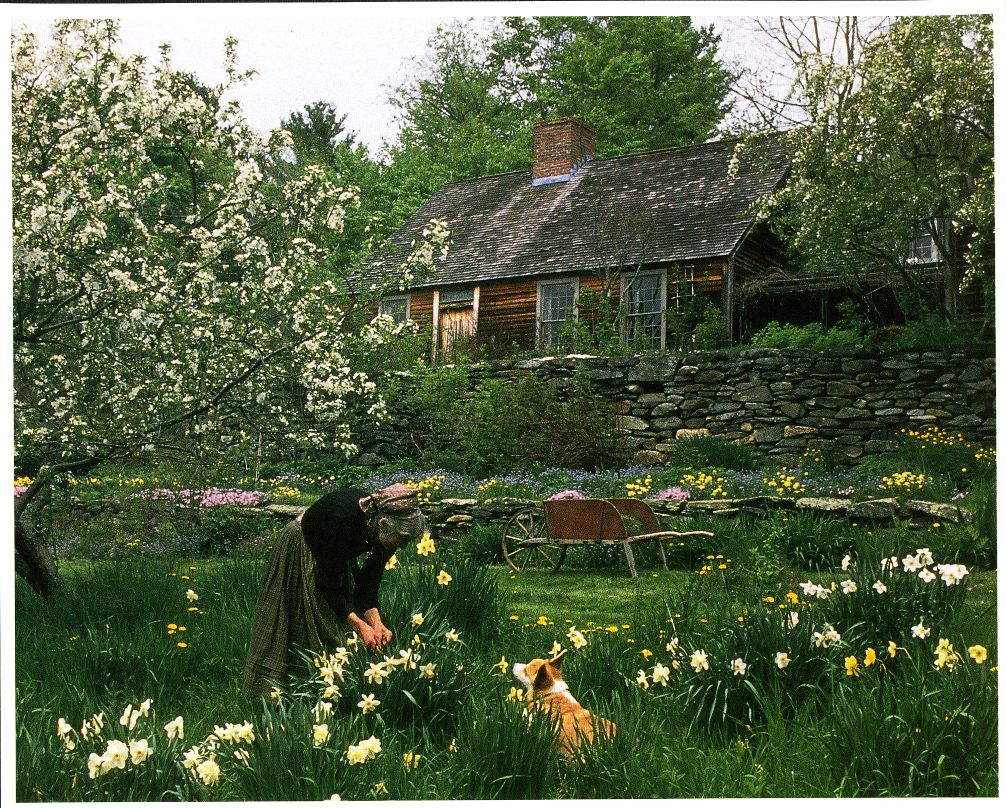 nha vuon Tasha Tudor 0