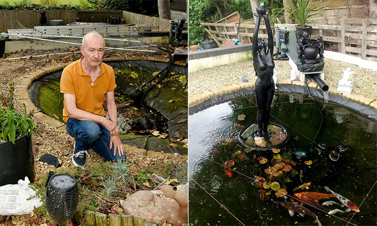 rai ca an thit ca koi