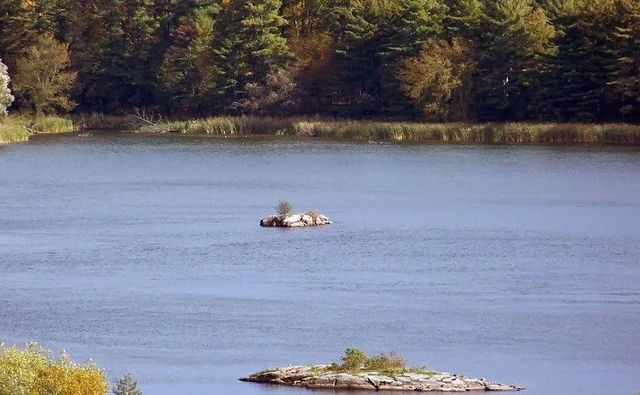 Thousand Islands 1