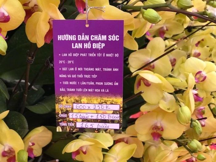 lan ho diep tram trieu 0