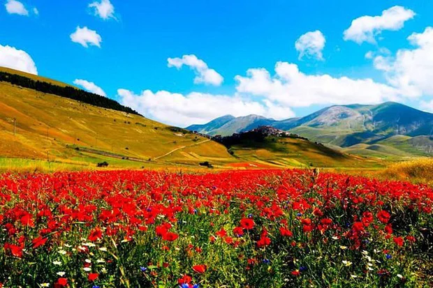 lang Castellucio italy 1