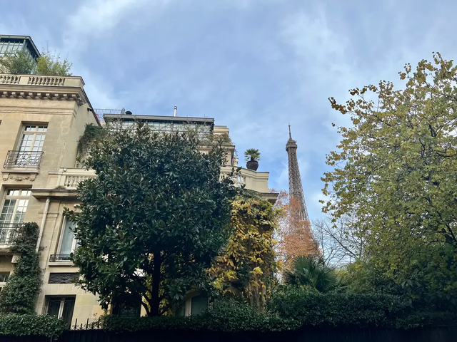 that vong voi thap eiffel 1