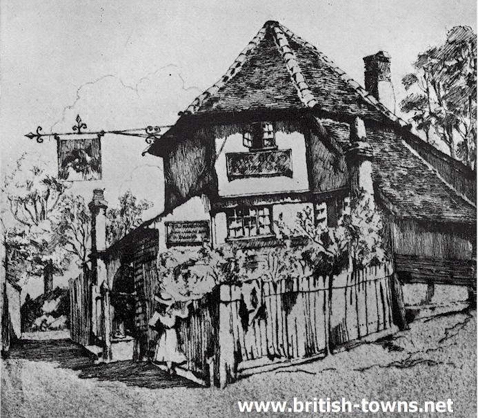 Ye Olde Fighting Cocks 1