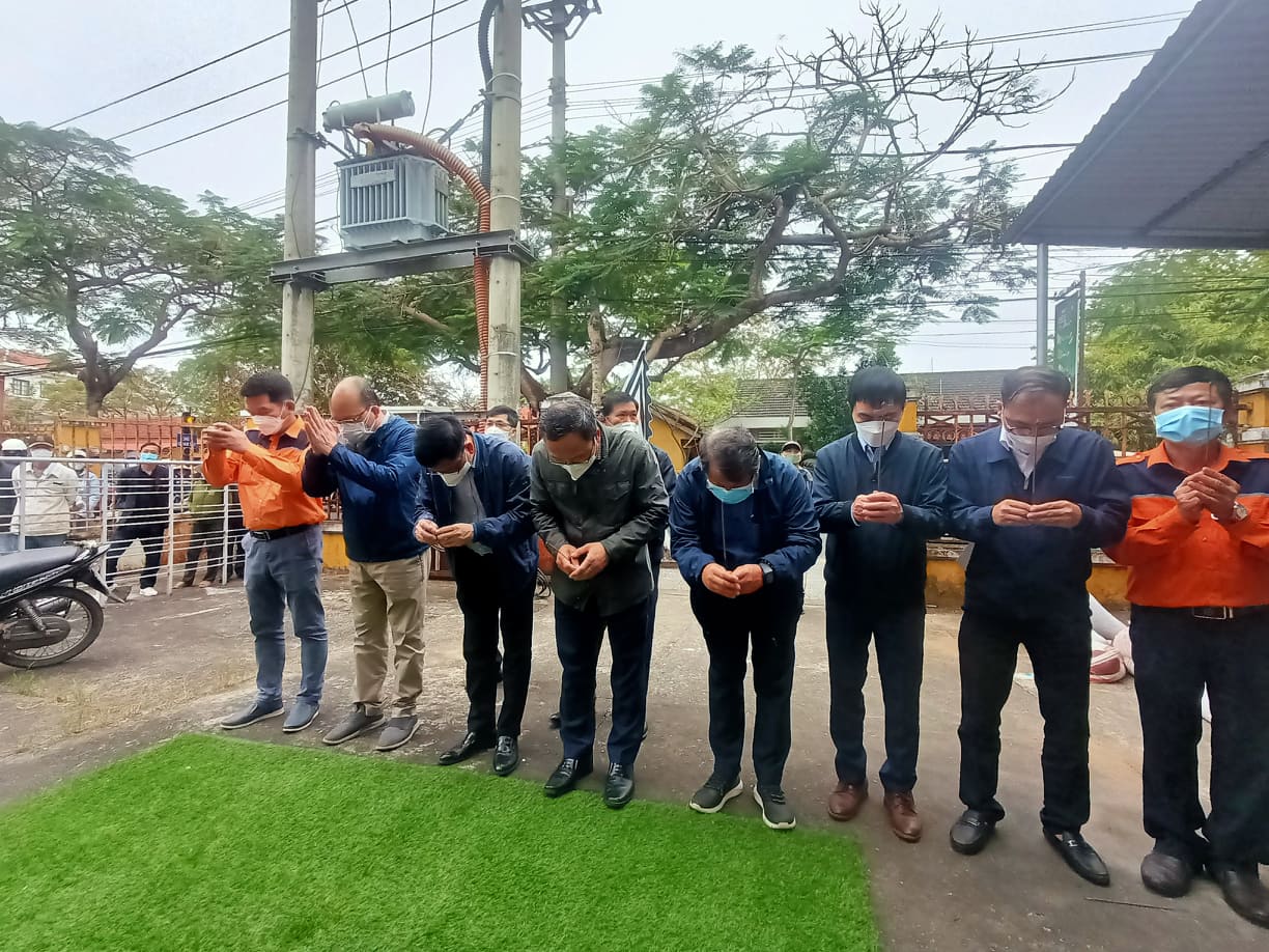 chim cano o cua dai quang nam 1