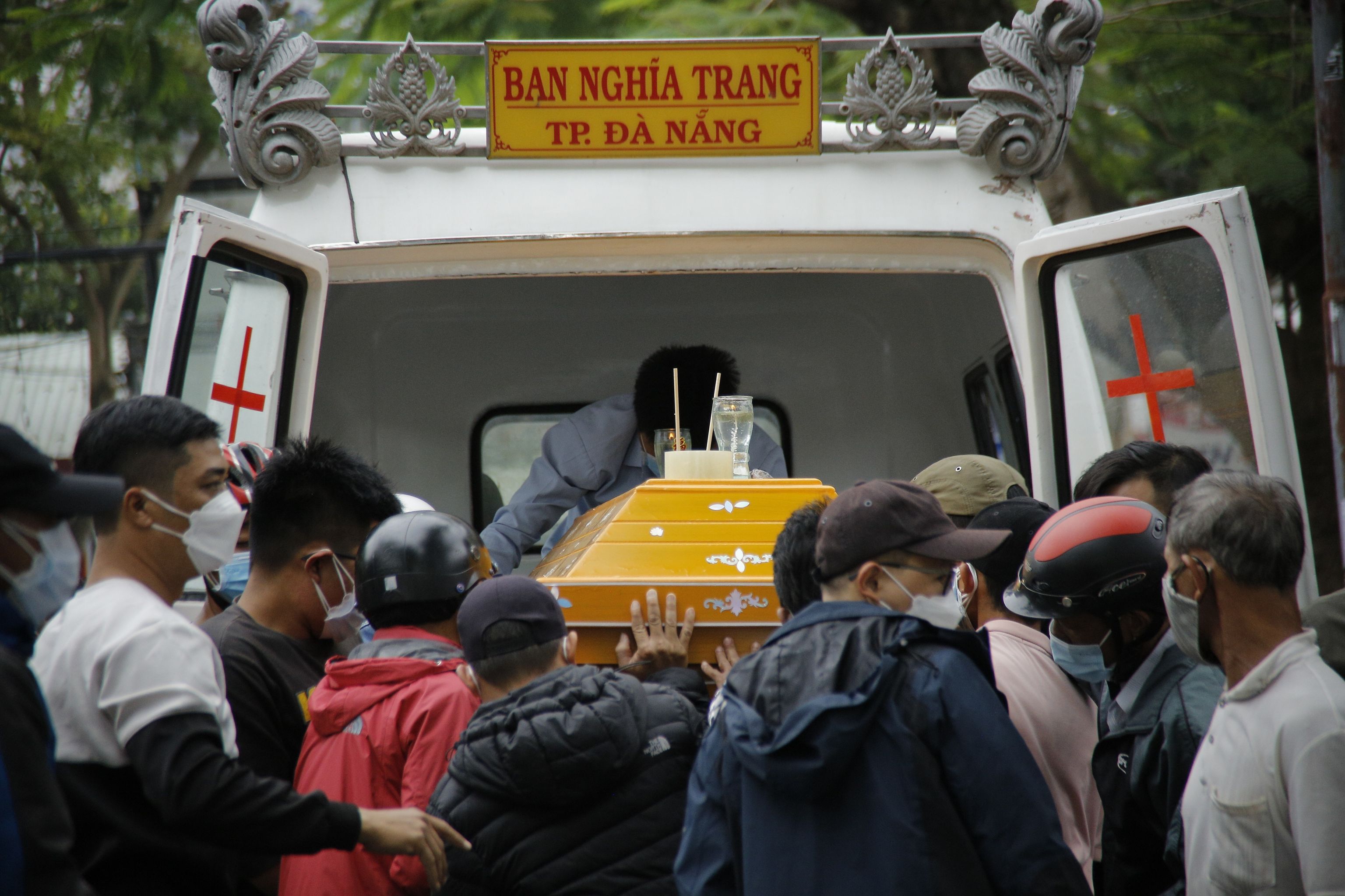 chim cano o cua dai quang nam 1