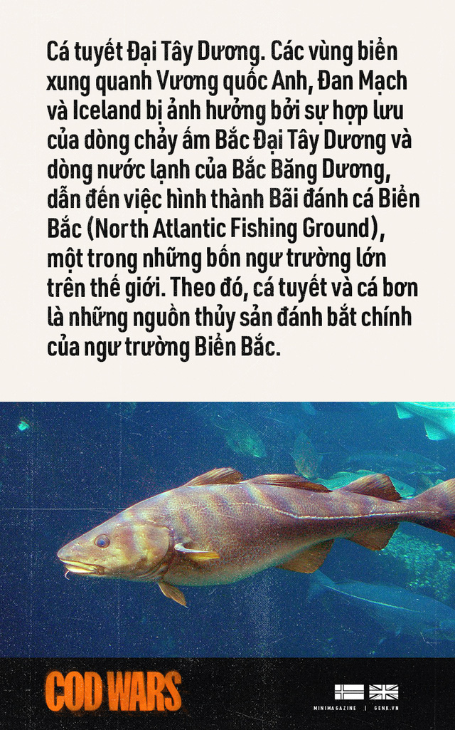 cod wars cuoc chien ca tuyet giua Anh va Iceland 2