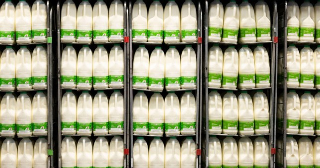 17milk