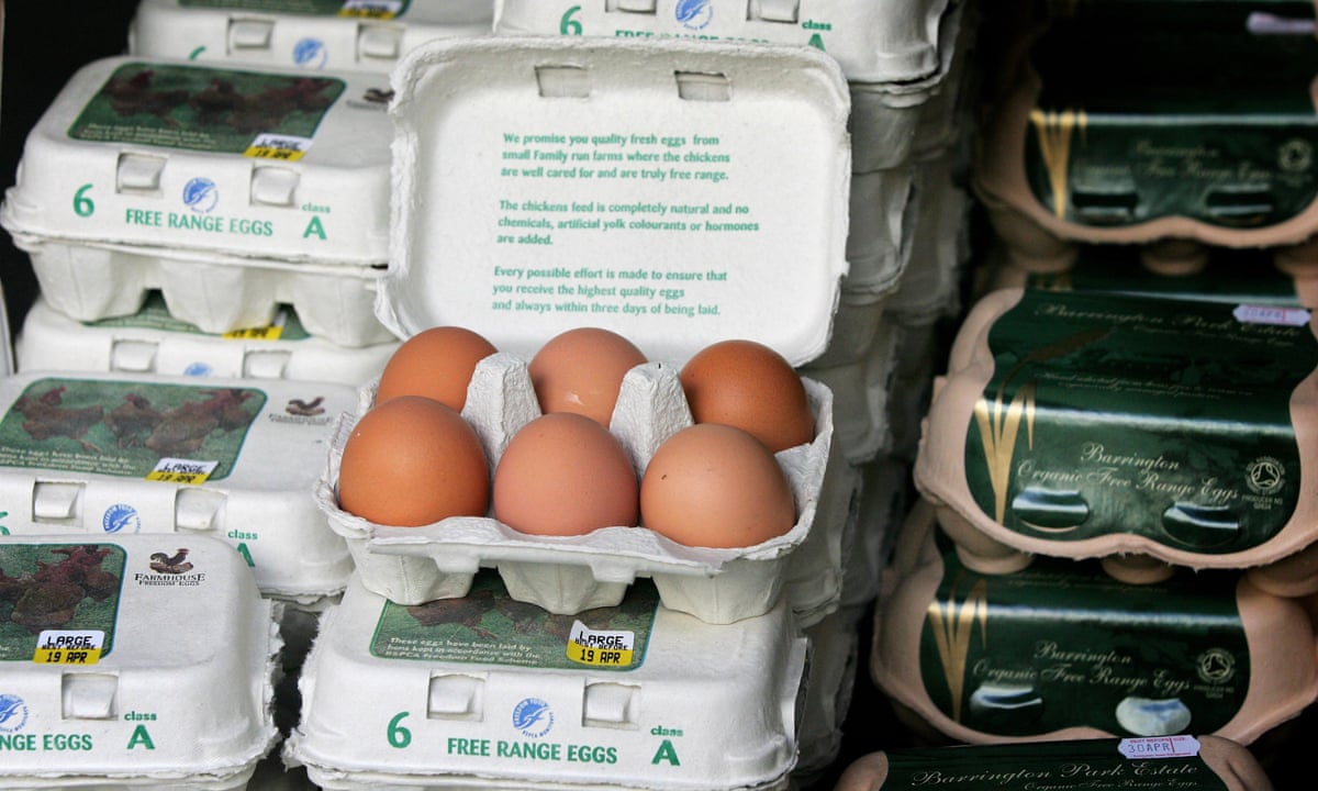 24eggs