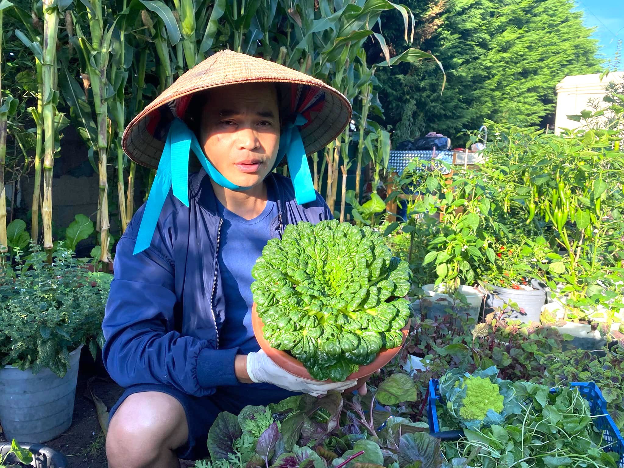 le vinh uk lam vuon 1