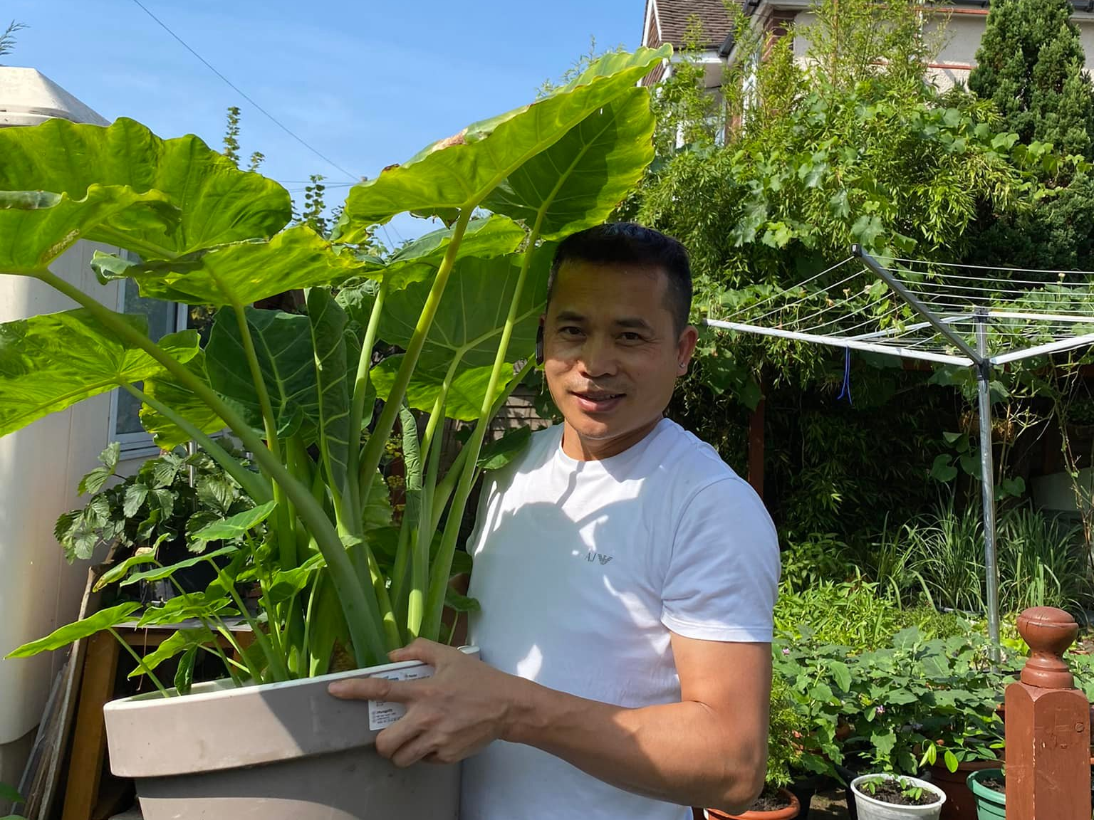 le vinh uk lam vuon 1