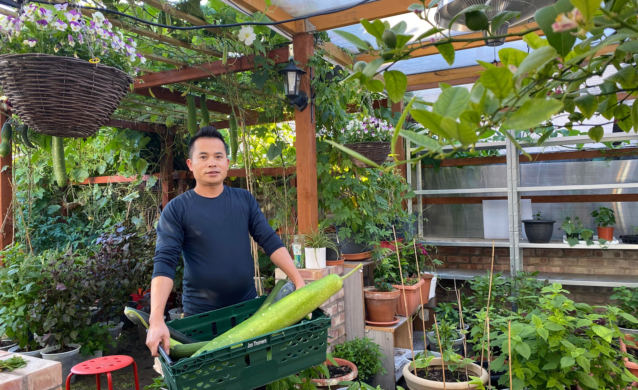le vinh uk lam vuon 1