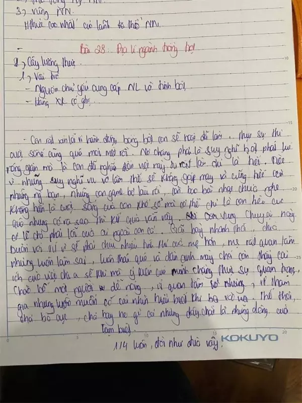 nhay tu tang 28 1