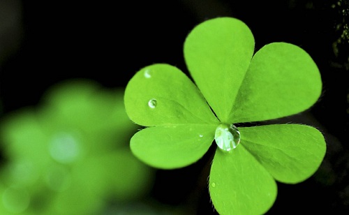 st patrick day 1