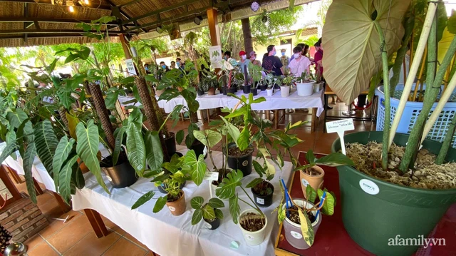 thu choi ngong cua nha giau viet 1