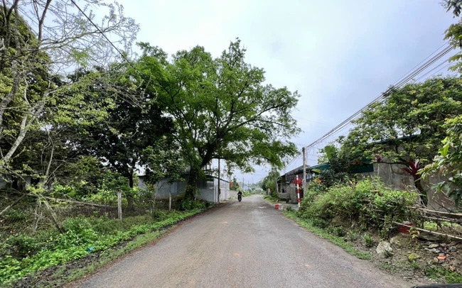 vay ngan hang mua dat
