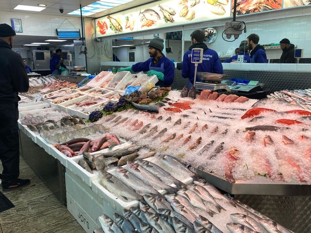 17fish1