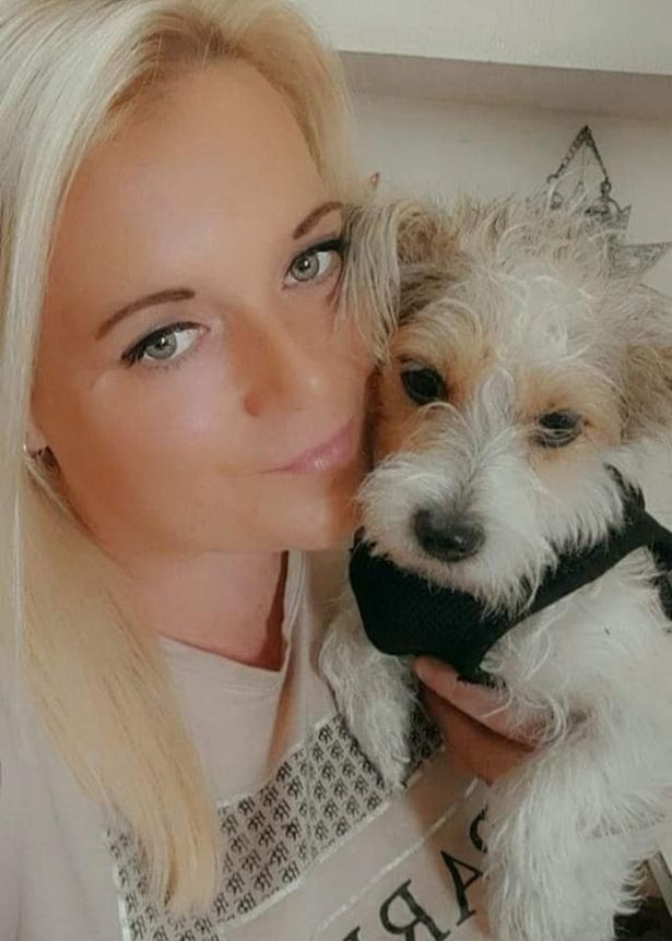 28dog1