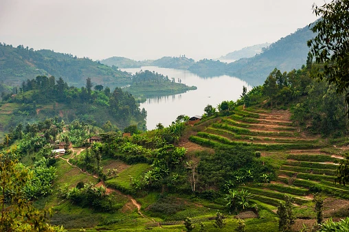 Rwanda nguoi xin ti nan 3