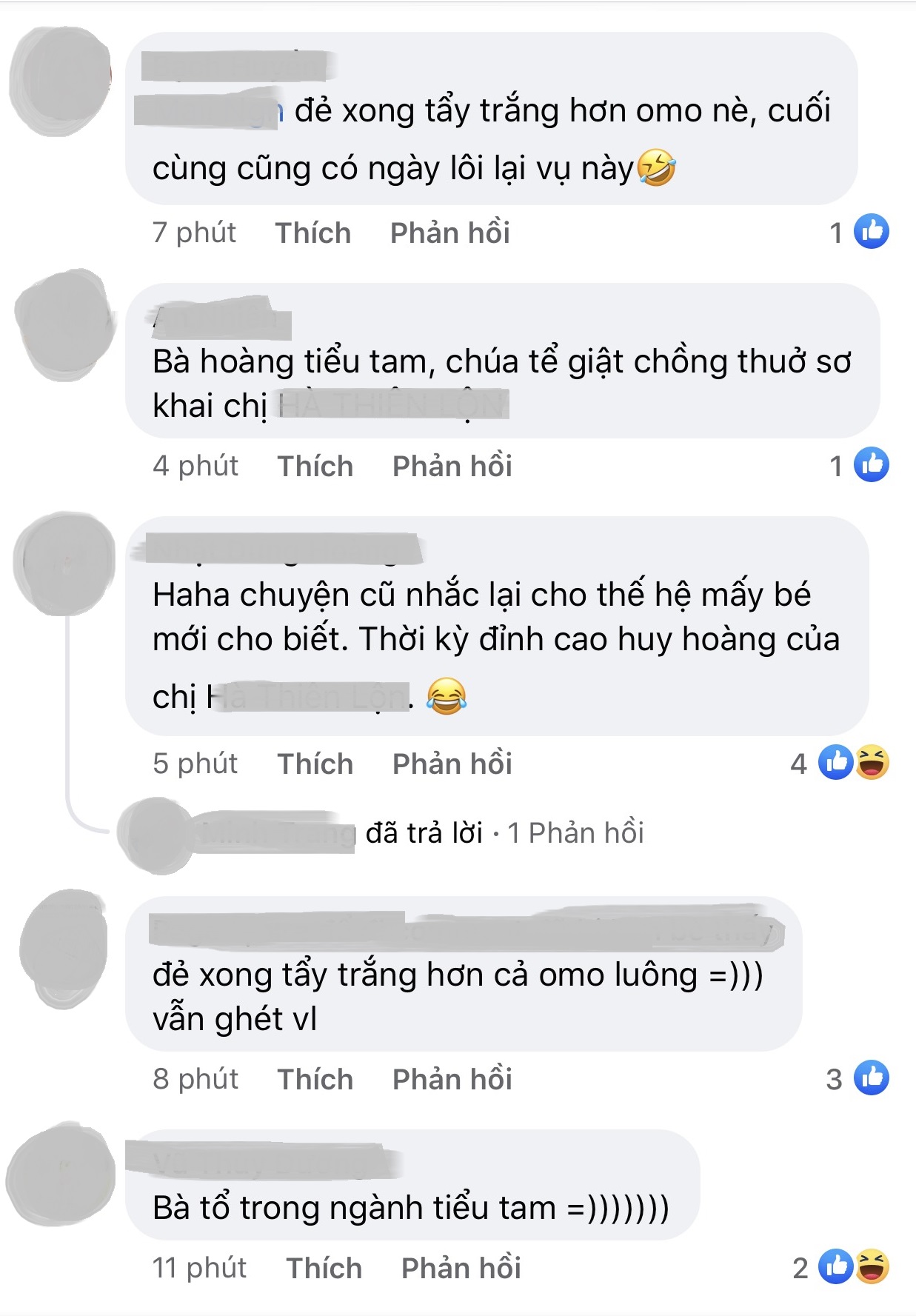ho ngoc ha tieu tam 1