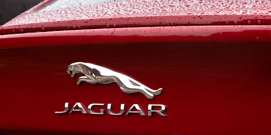 jaguar 1