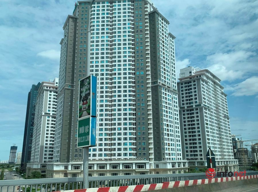 chung cu 50 nam