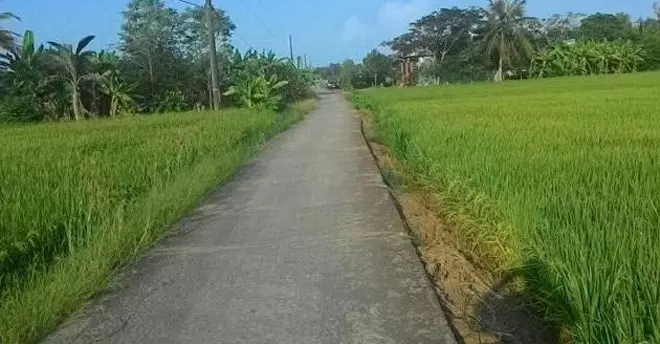 do no vi trung so 1